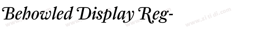 Behowled Display Reg字体转换
